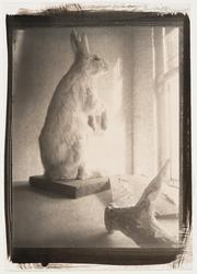 From the series Pinhole Photographs