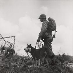 Untitled (soldier with dog on leash), 1945