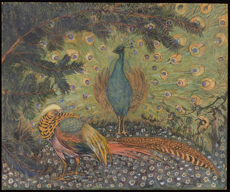Peacock and Pheasant