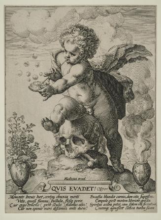 Allegory of Transience