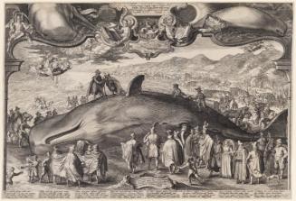 Beached Whale near Beverwijk Witnessed by Prince Ernest of Nassau