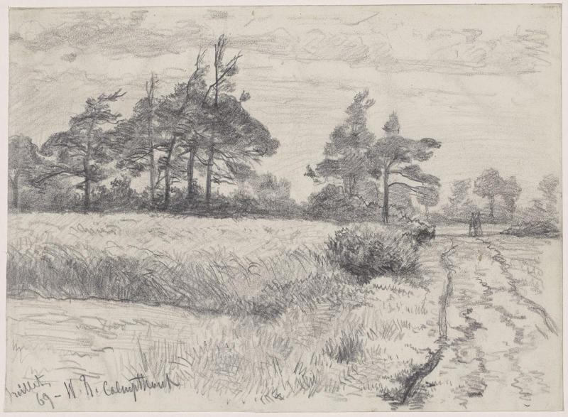 The Heath of Kalmthout, Belgium