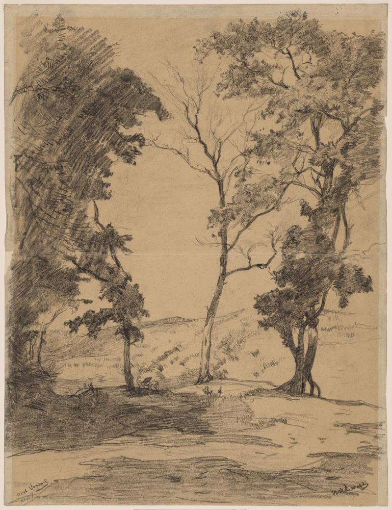 Trees in the Dunes at Oostvorne (verso: Sketch of a Woman's Head)