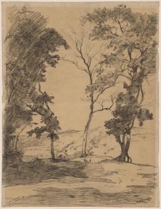 Trees in the Dunes at Oostvorne (verso: Sketch of a Woman's Head)