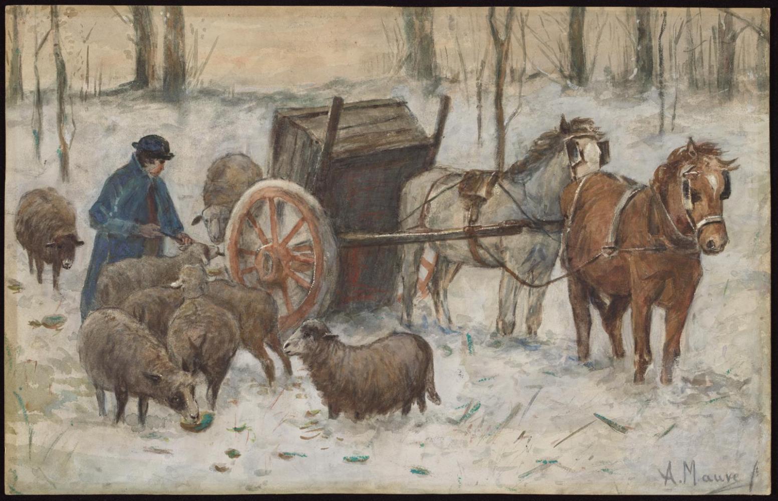 Feeding Sheep in Winter