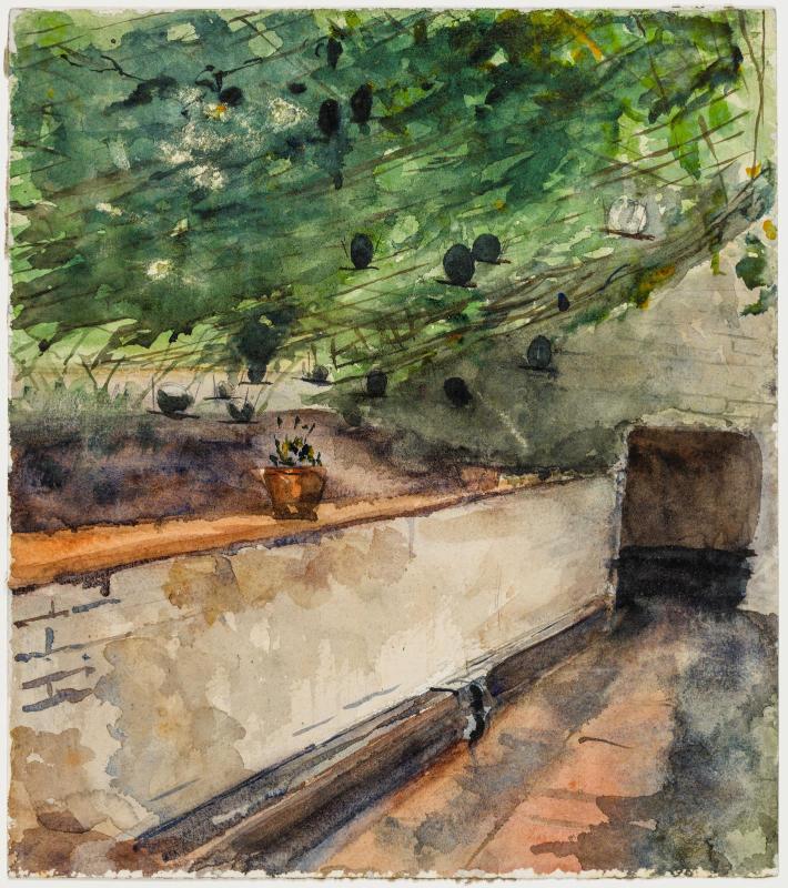Interior of a Greenhouse
