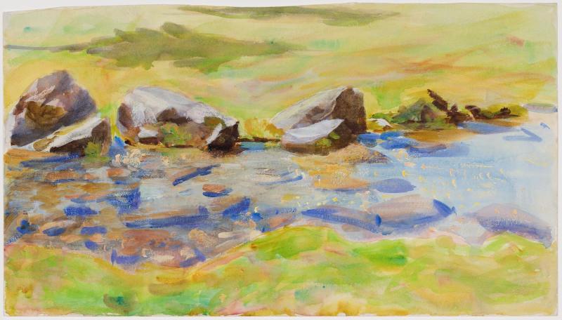The Brook, Purtud