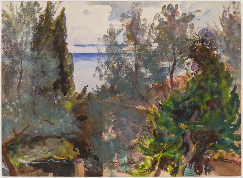 View of Water through Trees