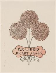 Bookplate of Ricart Arago