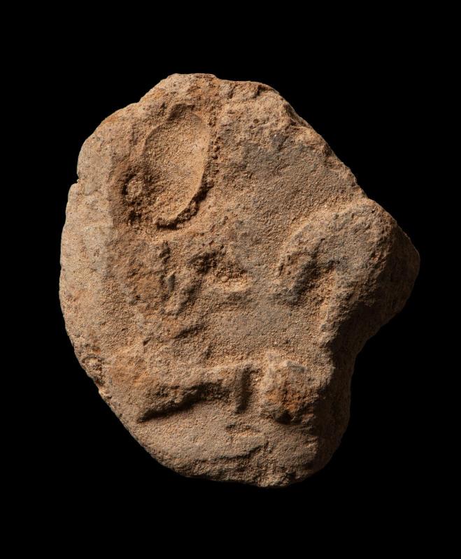 Seal impression fragment