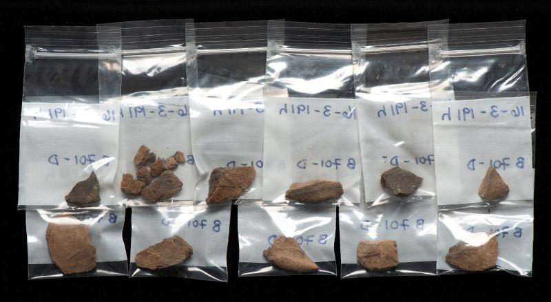 Seal impression fragments