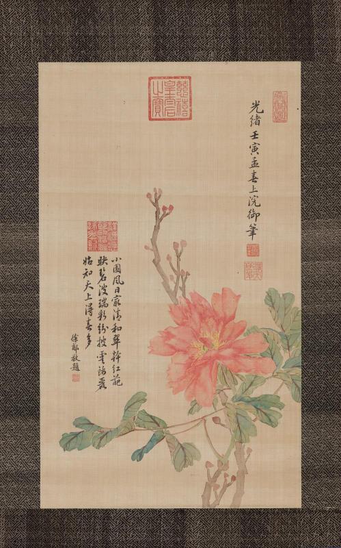 Peony