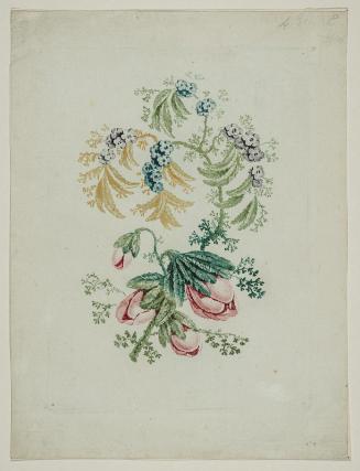 Novelle suite de cahiers de fleurs ideales