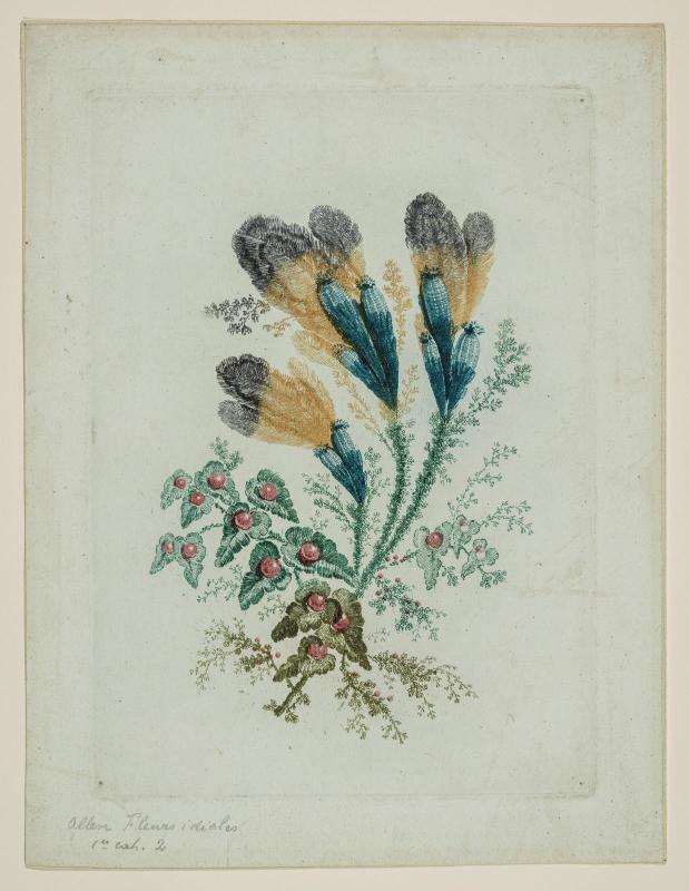 Novelle suite de cahiers de fleurs ideales