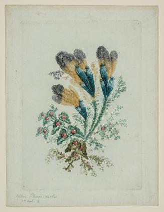 Novelle suite de cahiers de fleurs ideales