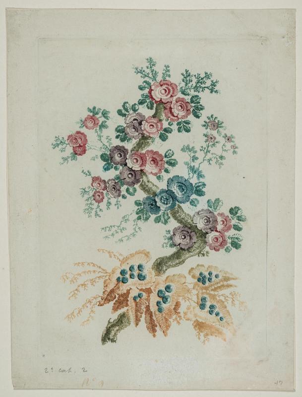 Novelle suite de cahiers de fleurs ideales
