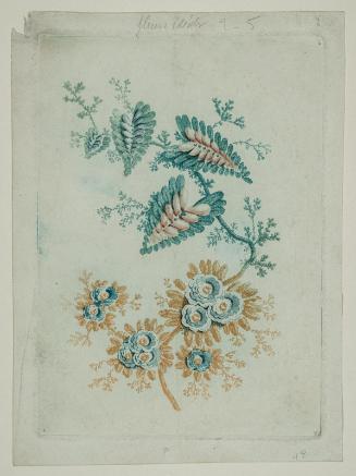 Novelle suite de cahiers de fleurs ideales