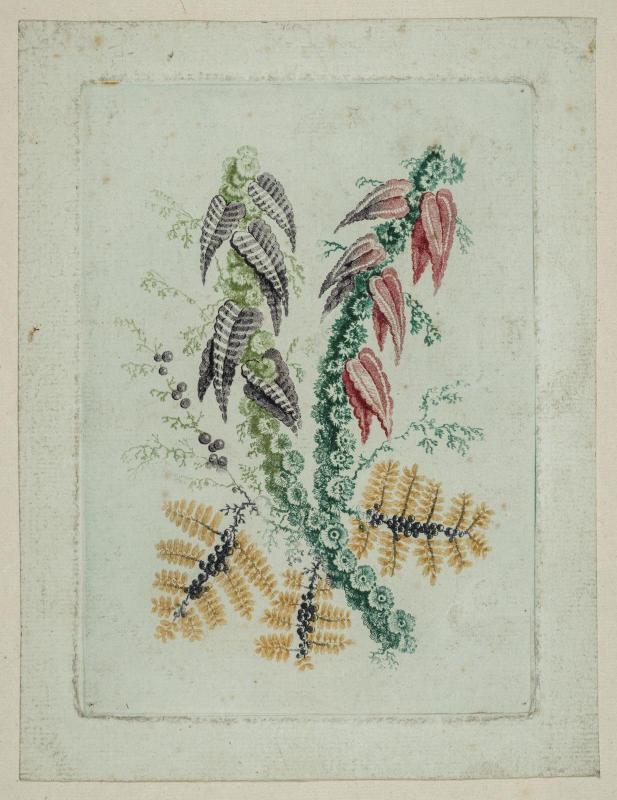 Nouvelle suite de fleurs idéales  Series 4, no. 2