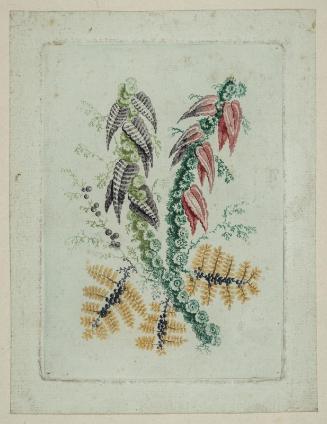 Nouvelle suite de fleurs idéales  Series 4, no. 2