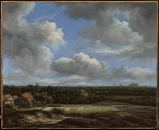View of the Plain of Haarlem with Bleaching Grounds