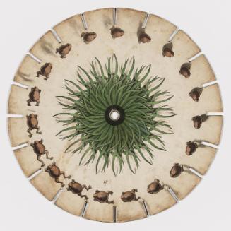Fantascope disc