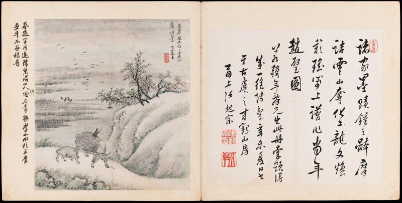 One of 42 Paintings and Calligraphies for Mao Qi: Buffalo by Cai Yuan and Calligraphy by Zhang Qizong
