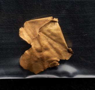 Fragments of gold