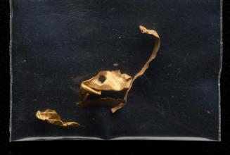 Fragments
