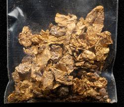 Gold foil fragments