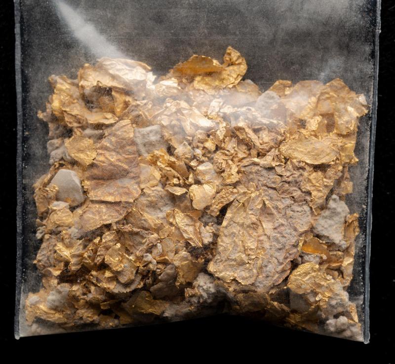 Gold foil and plaster fragments