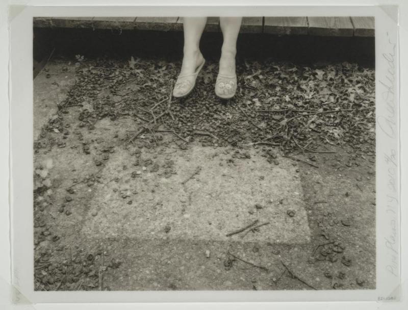 Pine Plains, New York