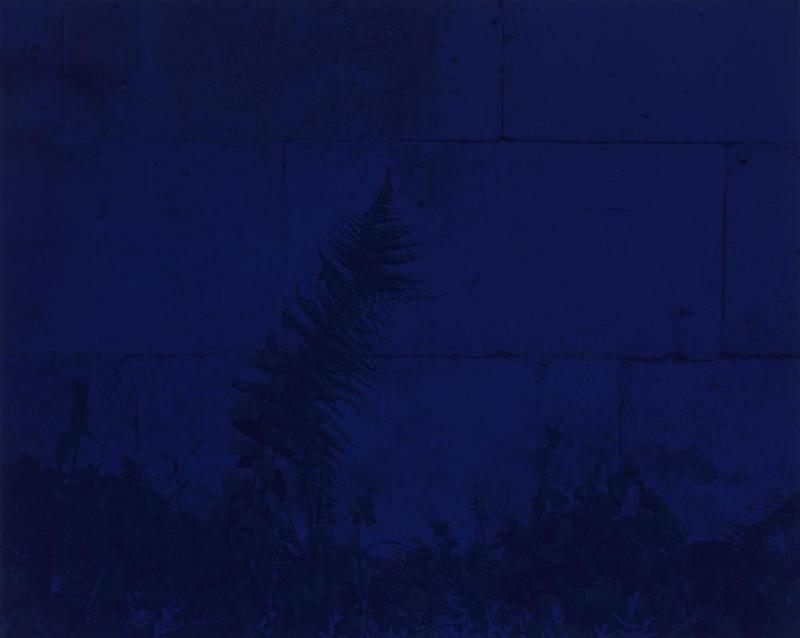 Nitrile Exam Gloves, from the series Blue Ground