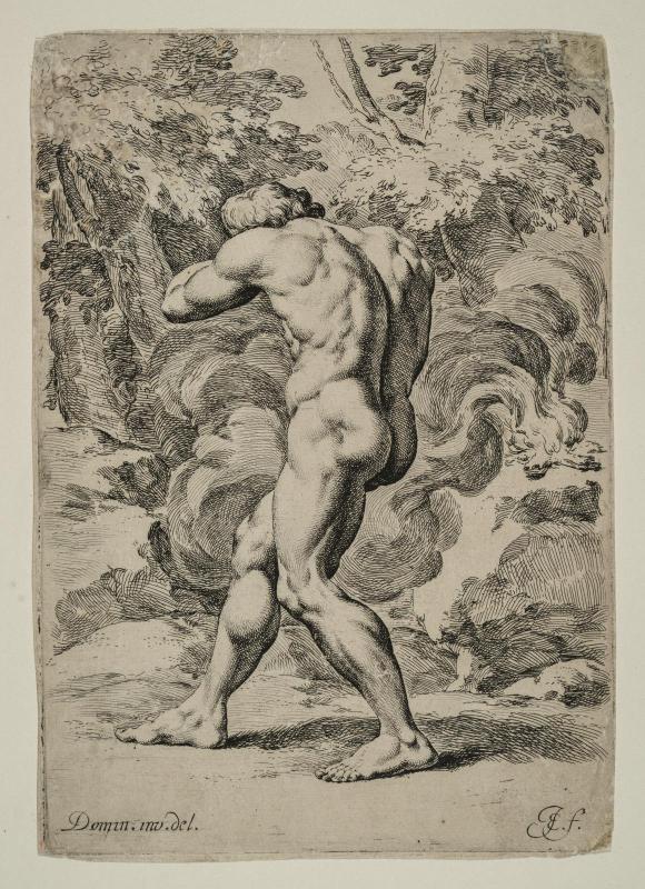 Study of a Male Nude