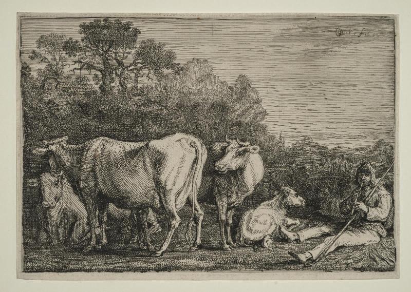 The Herdsman