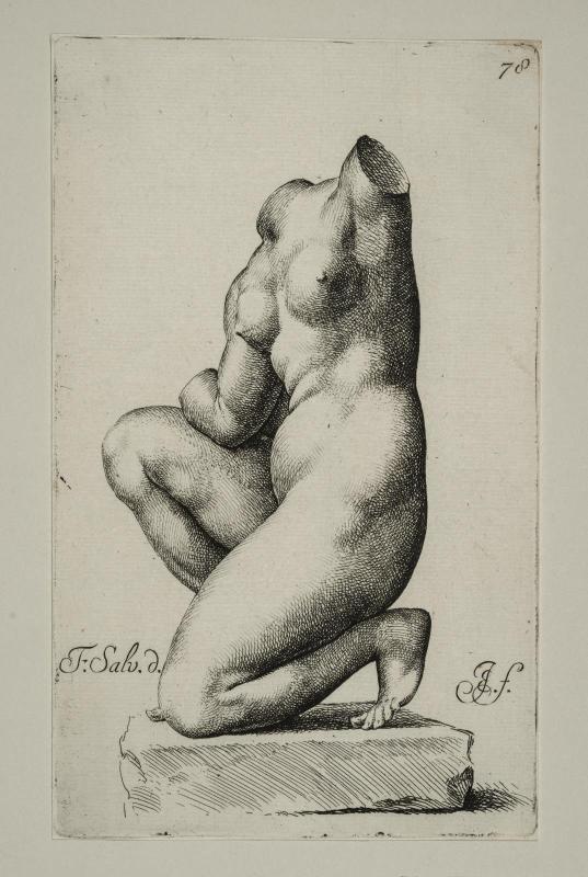 Torso