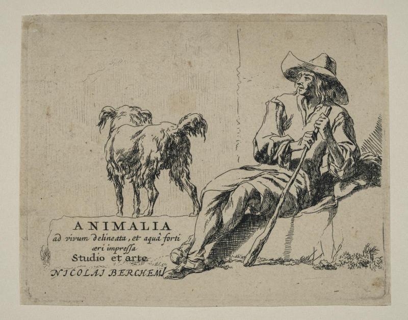 Animalia