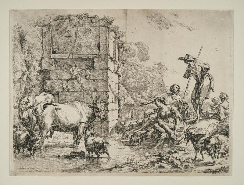 The Cow Drinking
