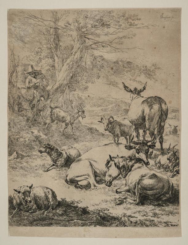 The Resting Herd