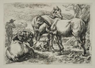 Horses
