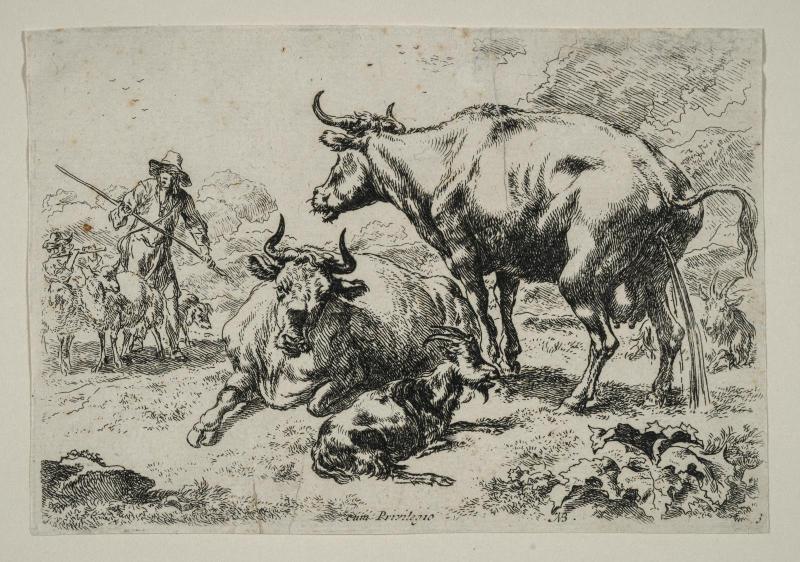 Two Cows and a Goat