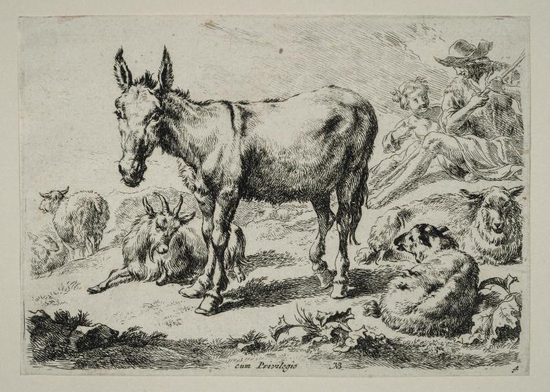 Donkey