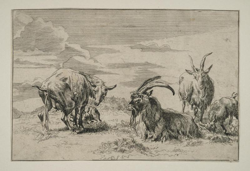 Farm animals and old lady - sketches