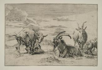 Farm animals and old lady - sketches