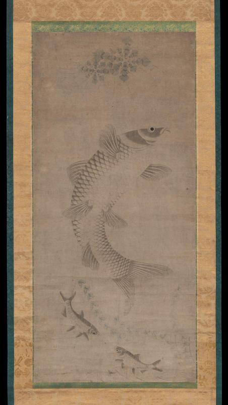 Carp and small fish in water