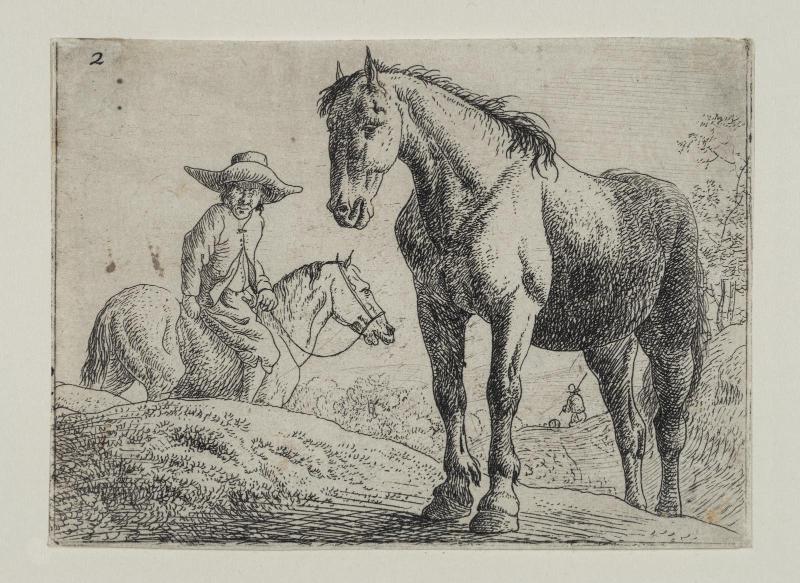 Horses