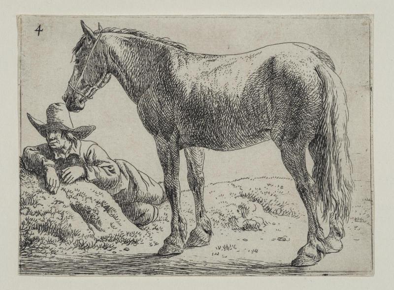 Horses