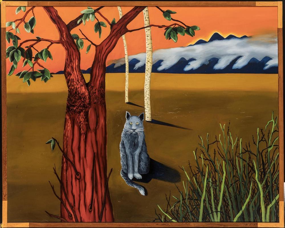 Grey Cat with Madrone and Birch Trees