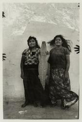 Lagarto (Alligator), Juchitán, México