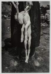 El Sacrificio (The Sacrifice), La Mixteca