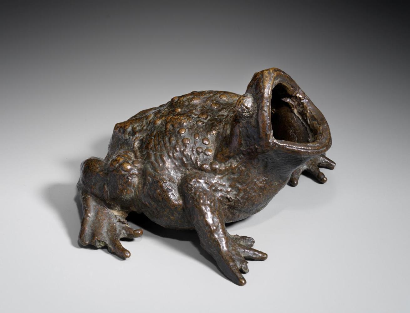 Toad Croaking